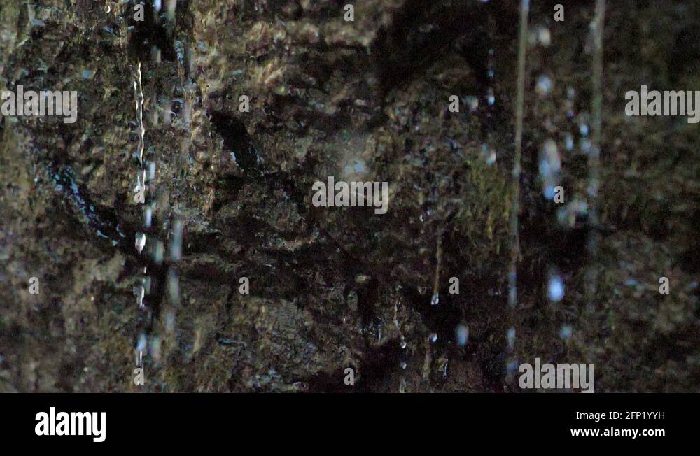 180 frames per second Stock Videos & Footage HD and 4K Video Clips