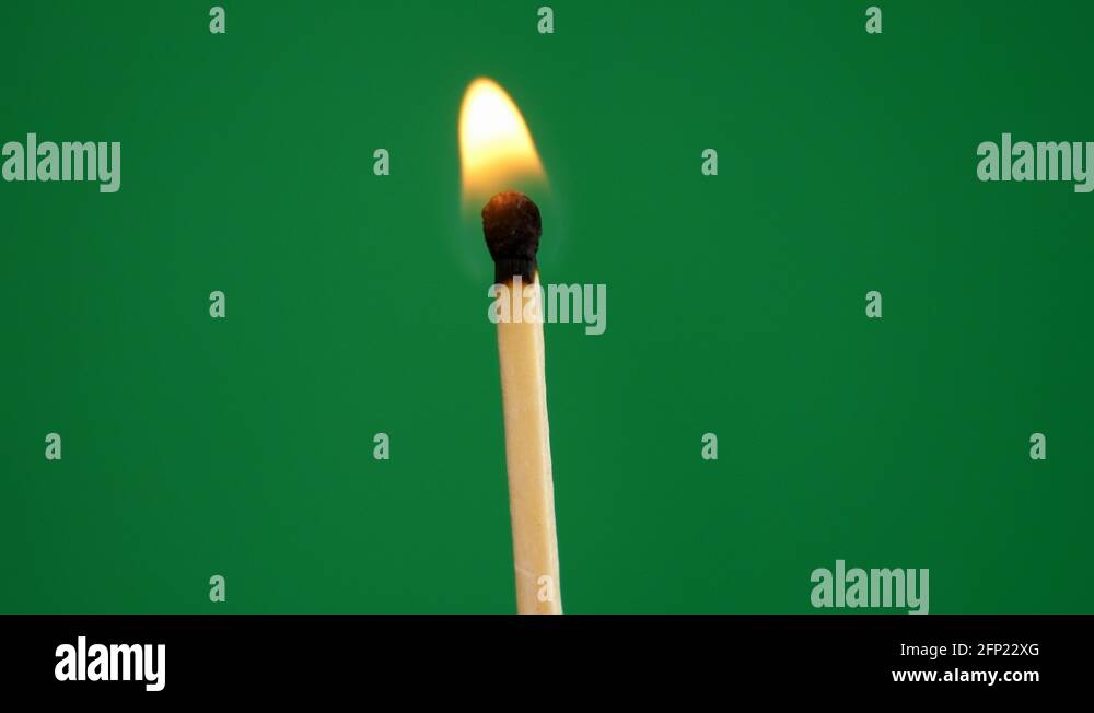 Match flame vector Stock Videos & Footage HD and 4K Video Clips Alamy