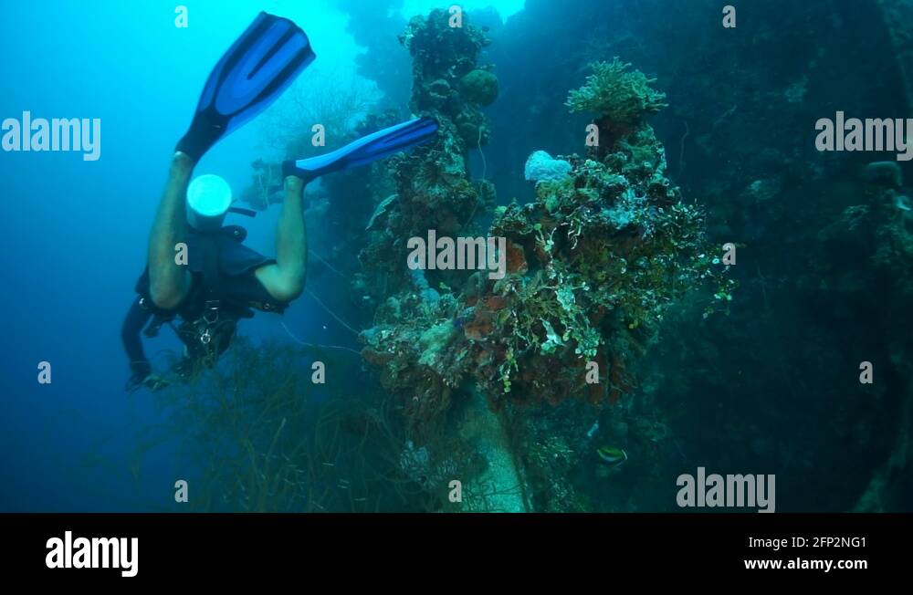 Diving in Truk Lagoon of shipwreck on Chuuk Islands Stock Video Footage