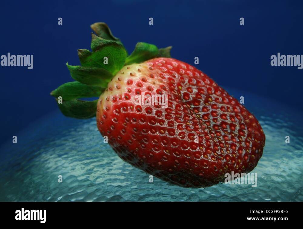 Moldy strawberry Stock Videos & Footage - HD and 4K Video Clips - Alamy