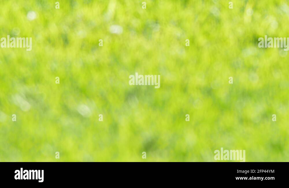 Infield outfield Stock Videos & Footage HD and 4K Video Clips Alamy