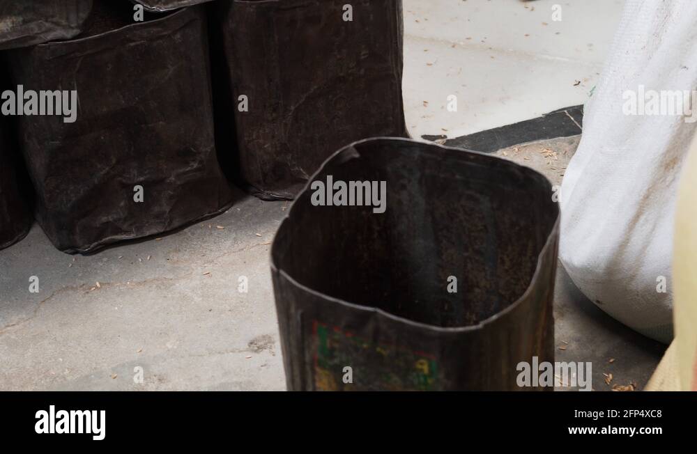 Pouring rice container Stock Videos & Footage - HD and 4K Video Clips ...