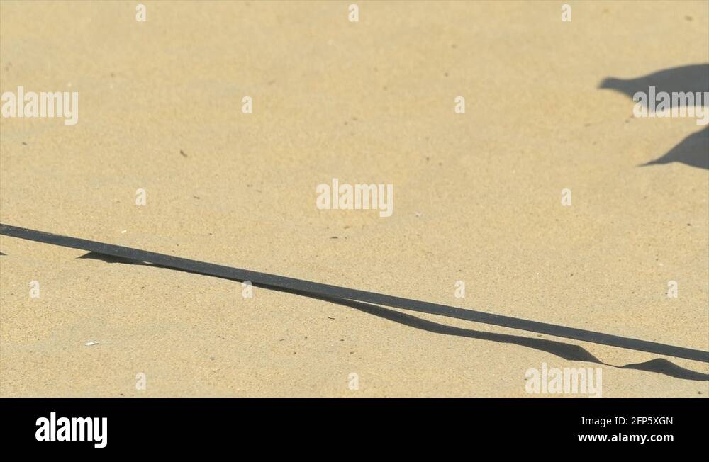 Women serve serving while playing pro beach volleyball in the sand