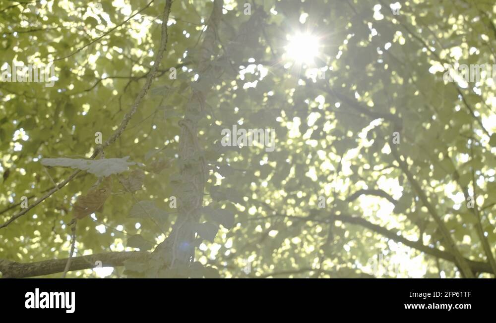 Amazon belgium Stock Videos & Footage HD and 4K Video Clips Alamy