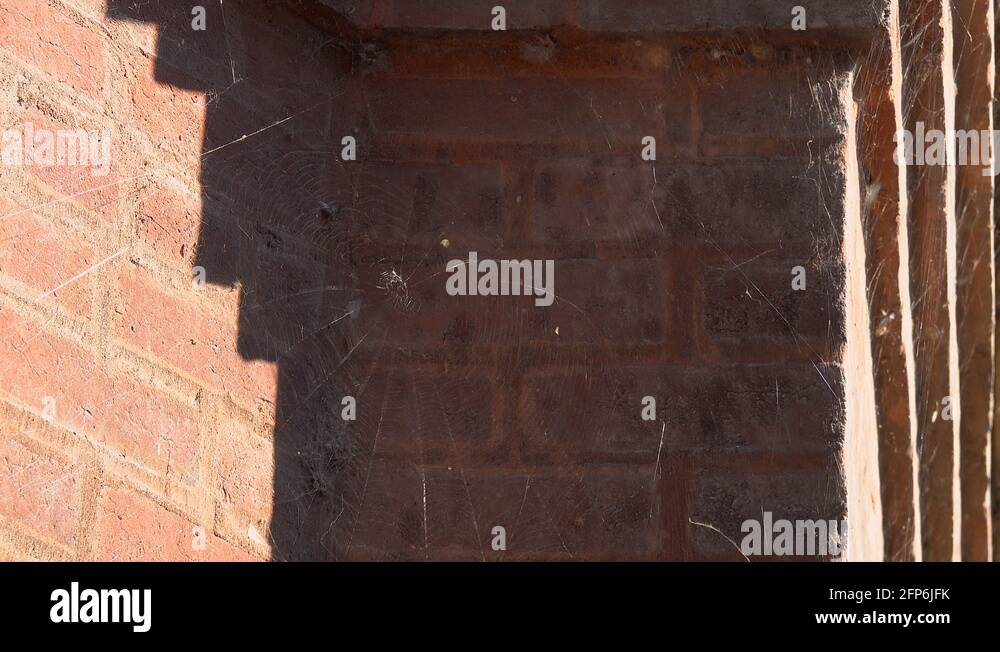 close up spider webs on brick wall blowing in wind 4k Stock Video Footage Alamy
