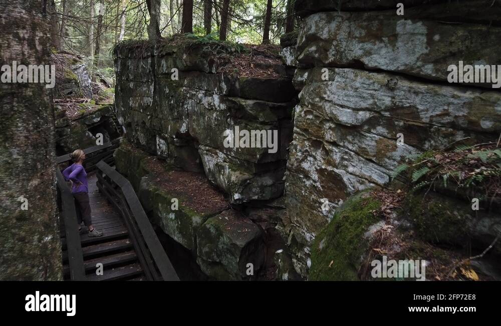 Marlinton west virginia forest Stock Videos & Footage HD and 4K Video