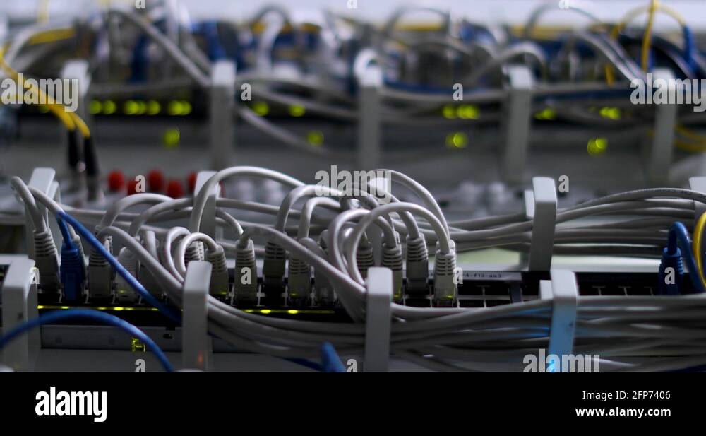 Switch And Optic Cable Connected To Network Panel With Blinking Leds