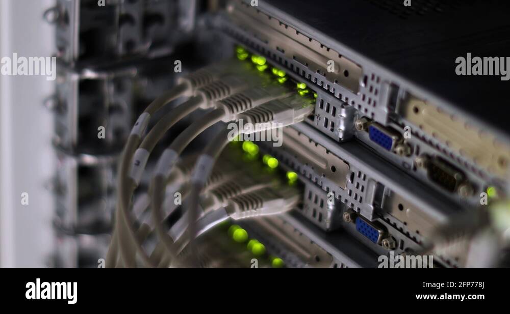 Switch And Optic Cable Connected To Network Panel With Blinking Leds
