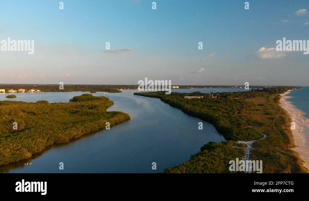 Ecosystem mangrove Stock Videos & Footage - HD and 4K Video Clips - Alamy