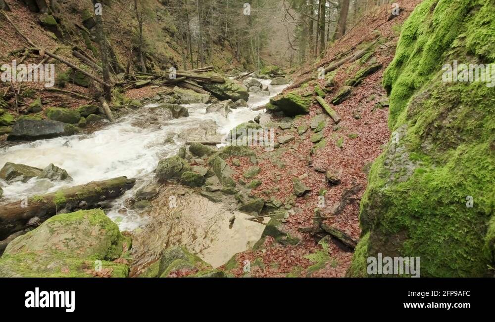 Heavy spring water flow Stock Videos & Footage HD and 4K Video Clips