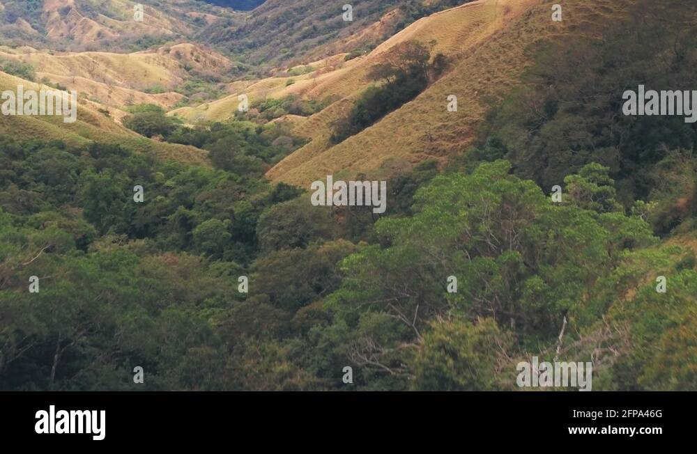 Costa Rica Rainforest Aerial Stock Videos Footage HD And 4K Video costa-rica-rainforest-aerial-stock-videos-footage-hd-and-4k-video