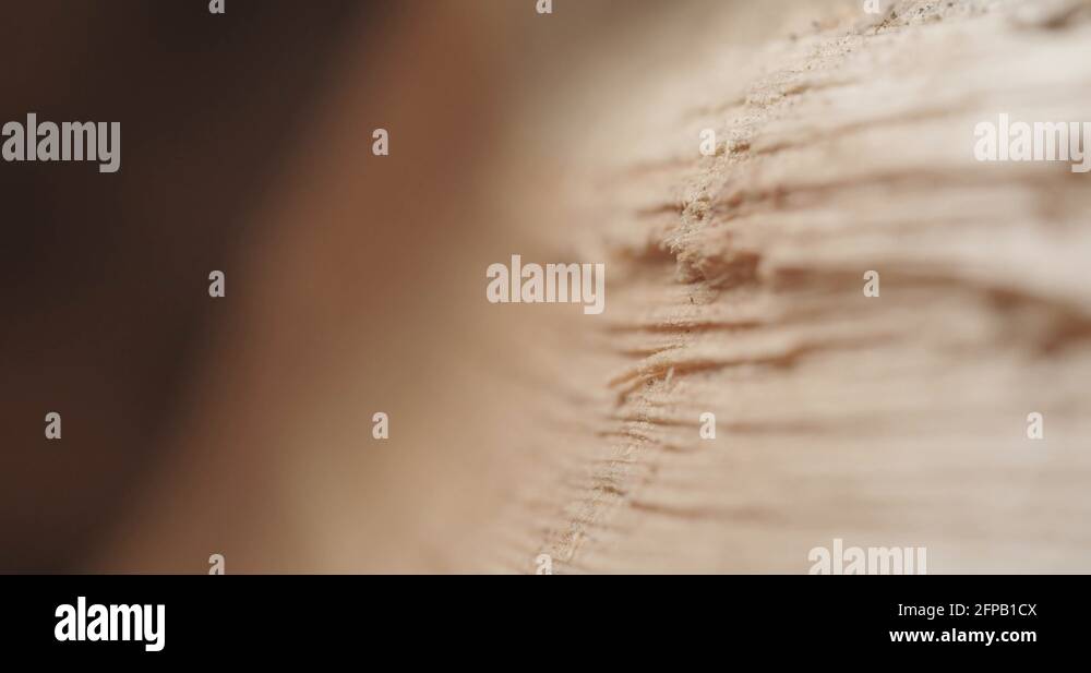 Tree rings fire Stock Videos & Footage - HD and 4K Video Clips - Alamy