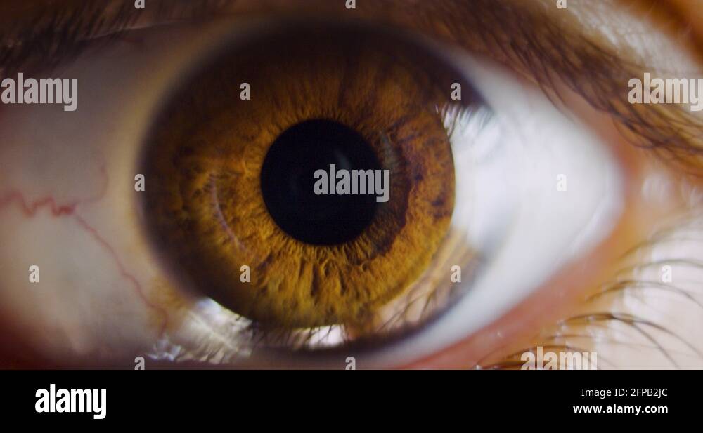 Close up of human eye iris Stock Videos & Footage HD and 4K Video