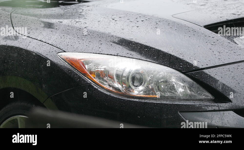 Rain drops on car hood Stock Videos & Footage HD and 4K Video Clips