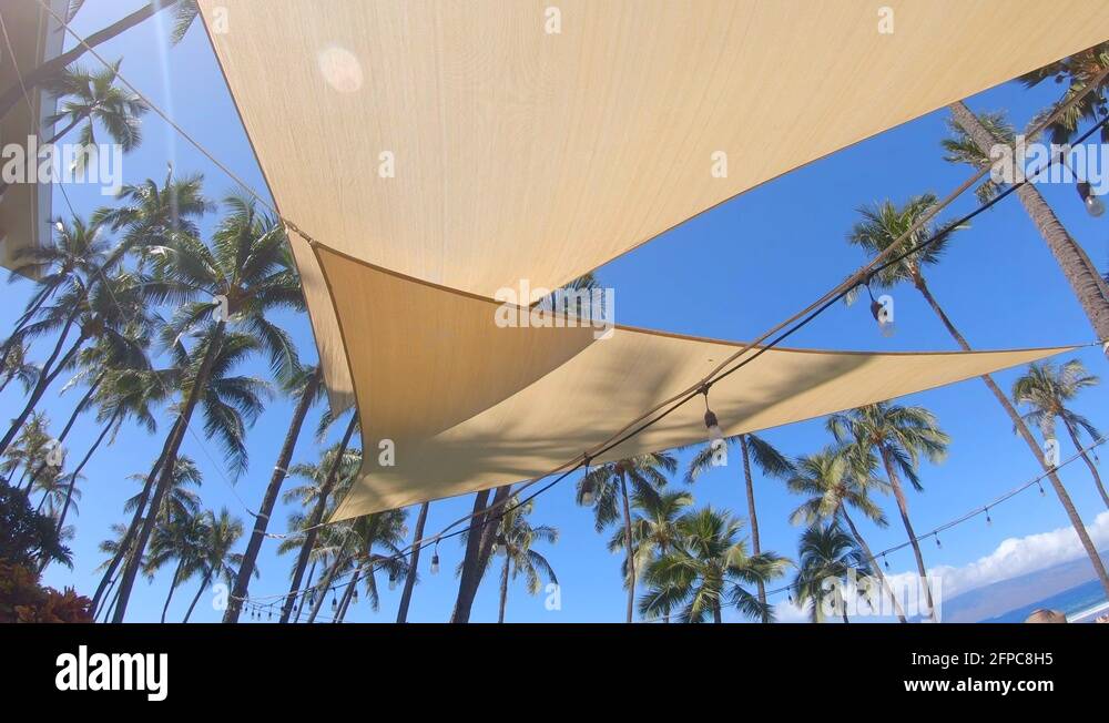 Palm trees and sails Stock Videos & Footage HD and 4K Video Clips Alamy