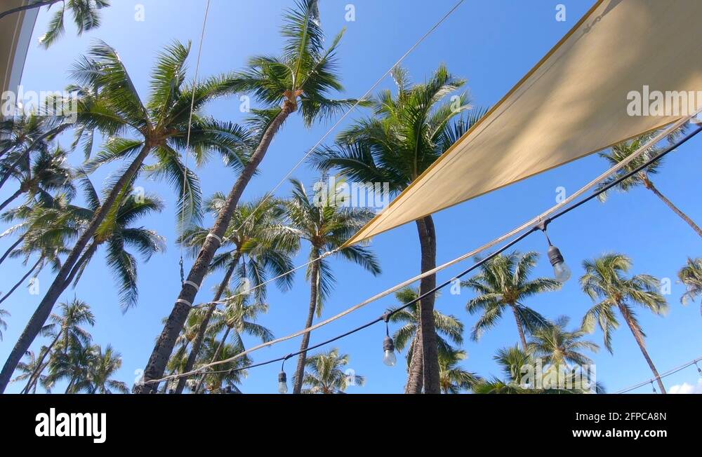Shade sails and palm trees provide shade in Maui, Hawaii, slow motion