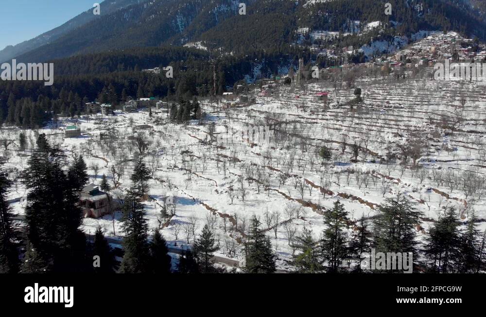Manali apple tree Stock Videos & Footage HD and 4K Video Clips Alamy