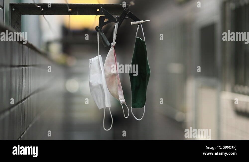 Drying mask hanging after use for disinfecting. Face masks hanging on