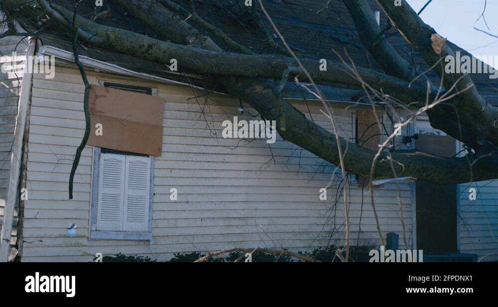 Tree damage after tornado Stock Videos & Footage HD and 4K Video