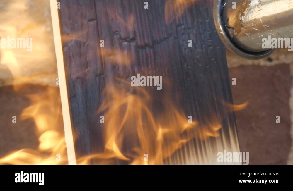 Preservation technique Stock Videos & Footage HD and 4K Video Clips