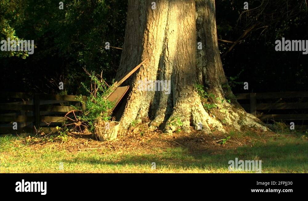 Horse Barn Vintage Wheelbarrow Stock Video Footage Alamy