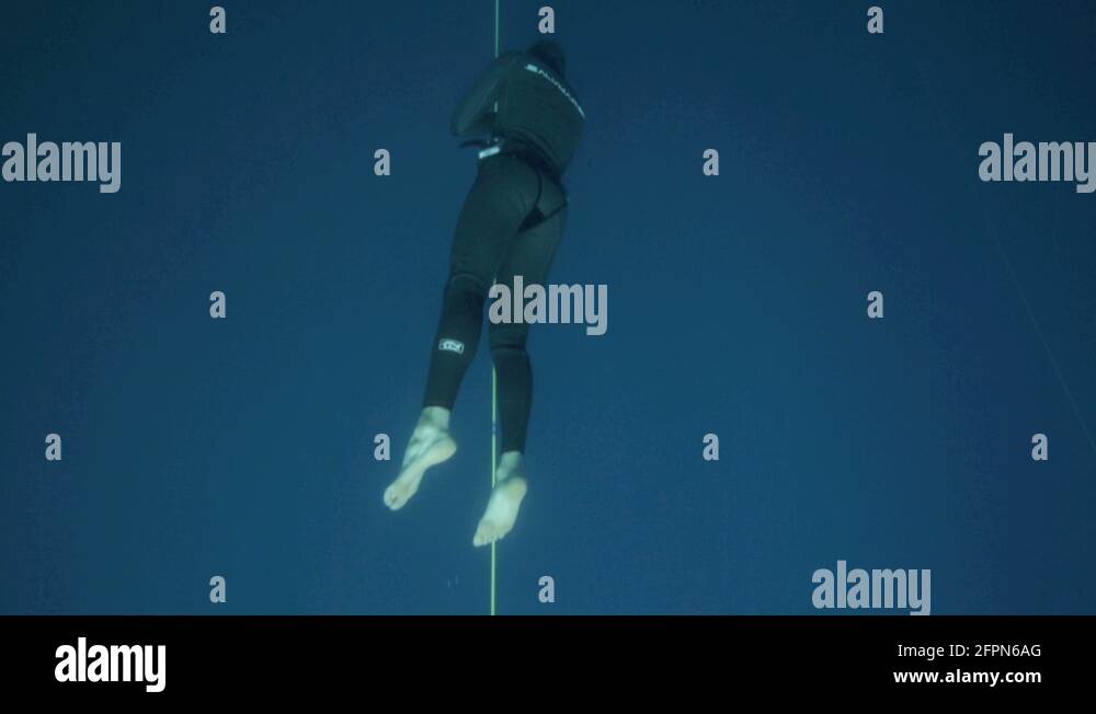 Rope underwater Stock Videos & Footage - HD and 4K Video Clips - Alamy