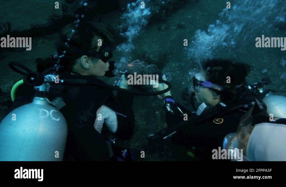 Scuba divers using magnifying glass to look at pygmy seahorse