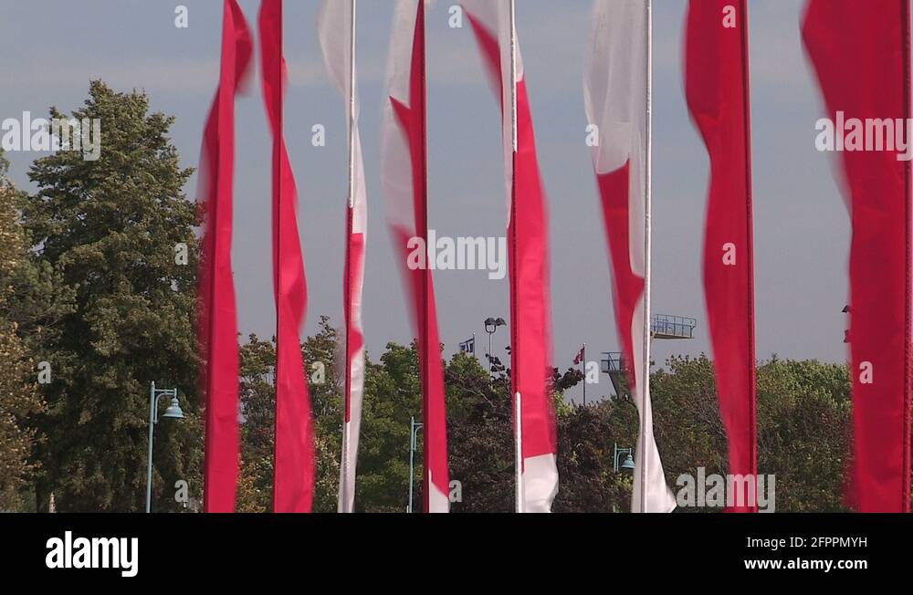 Kite festival and beach volleyball in Toronto Stock Video Footage Alamy