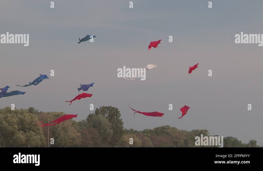 Kite festival and beach volleyball in Toronto Stock Video Footage Alamy