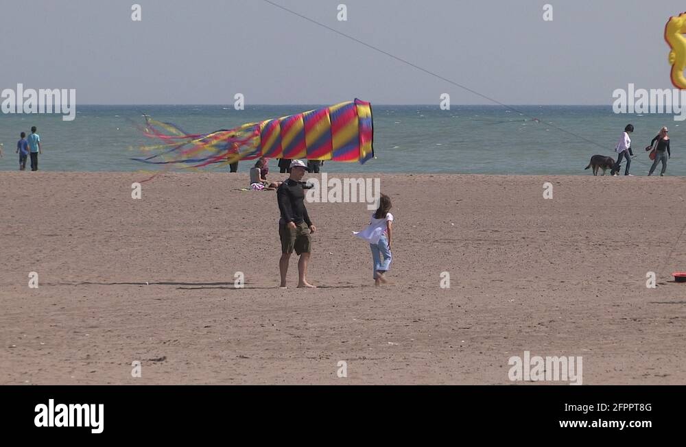 Kite festival and beach volleyball in Toronto Stock Video Footage Alamy