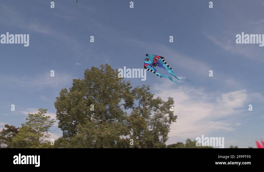 Kite festival and beach volleyball in Toronto Stock Video Footage Alamy