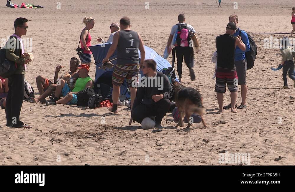 Kite festival and beach volleyball in Toronto Stock Video Footage Alamy