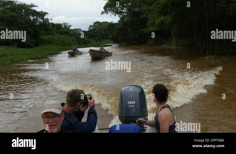 Boat ride Pantanal, jumping fish, 4k Stock Video Footage - Alamy