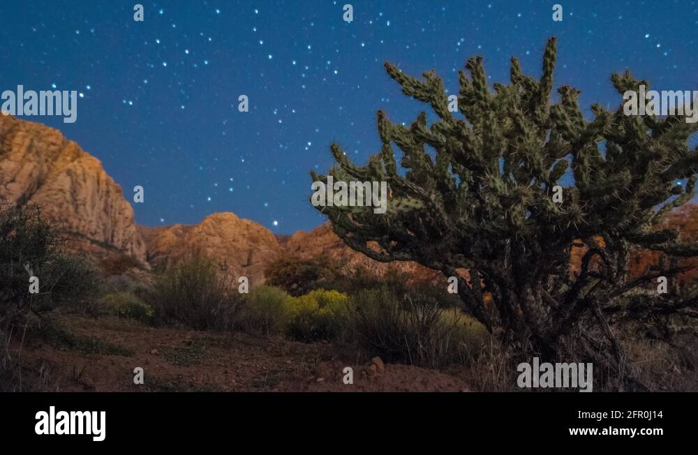 Nevada Desert Skies: Your Gateway to Starry Nights and Southwestern Charm