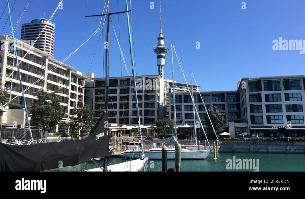 Yachts mooring at Auckland Viaduct Harbor Basin New Zealand Stock Video