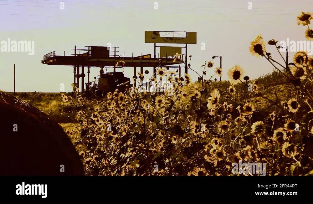 Abandoned gas station Stock Videos & Footage HD and 4K Video Clips