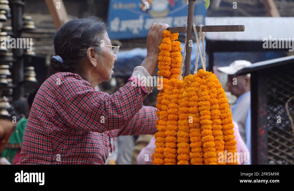 Kathmandu nepal nepali vendor flowers Stock Videos & Footage HD and
