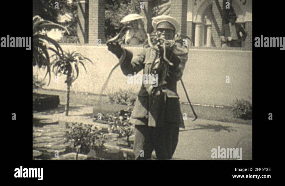 Vintage 16mm film, 1928, South Africa, Cape Town snake handler, many