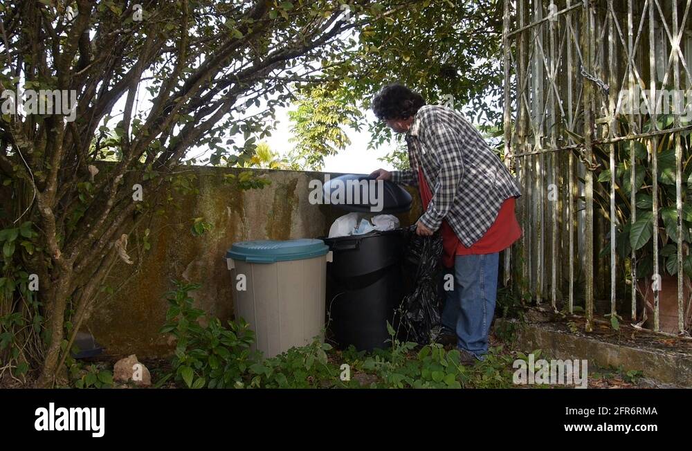 Food in garbage Stock Videos & Footage Biology Diagrams