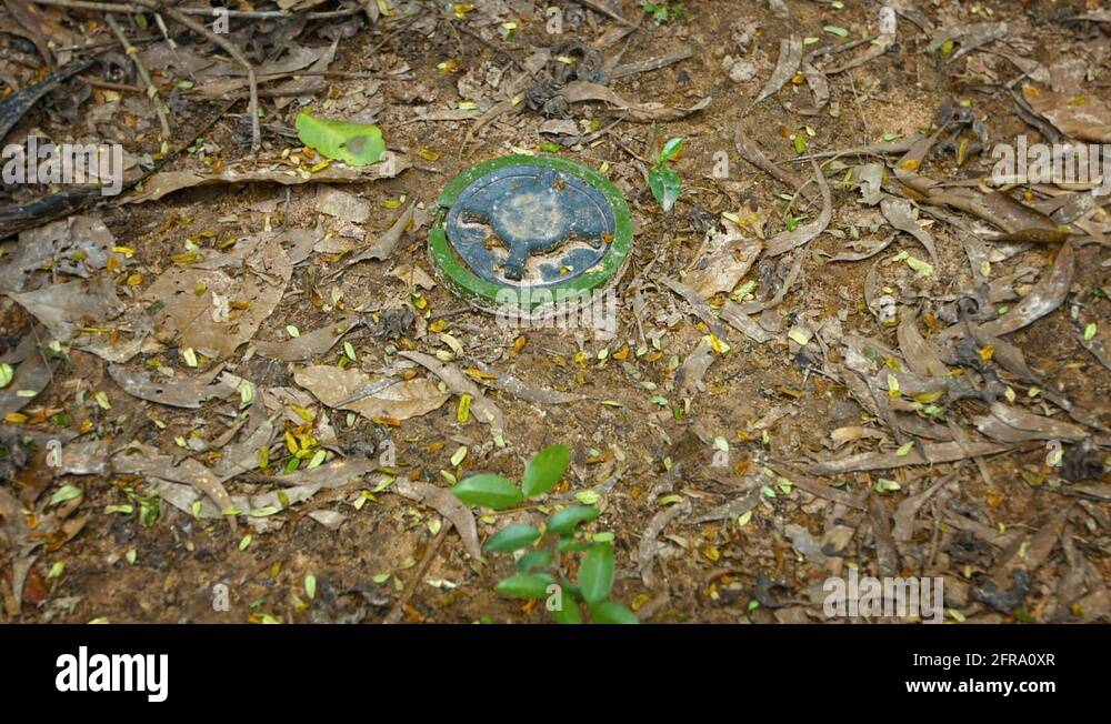Anti personnel landmine Stock Videos & Footage HD and 4K Video Clips
