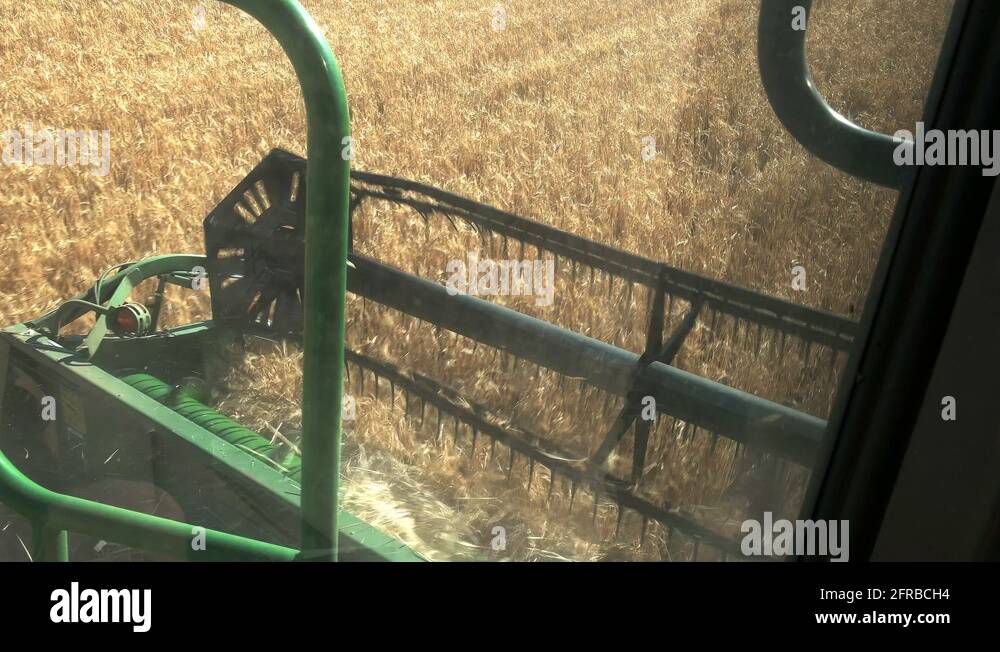 Reciprocating knife cutter bar Stock Videos & Footage HD and 4K Video