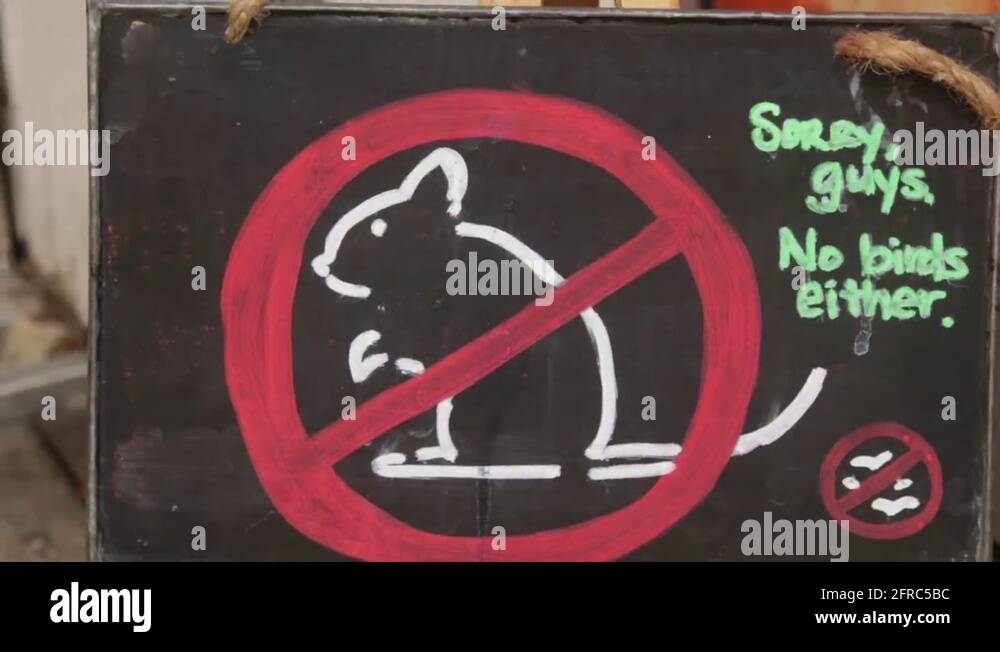 Not allowed sign Stock Videos & Footage - HD and 4K Video Clips - Alamy