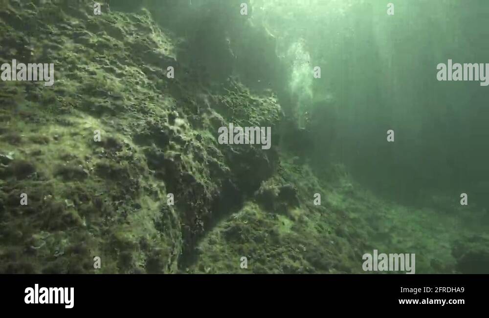 Scuba divers diver underwater Stock Videos & Footage HD and 4K Video