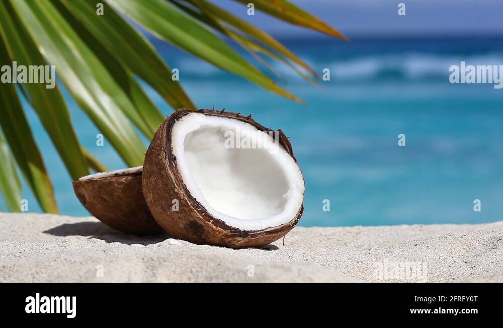 Roundandbrown Sandy