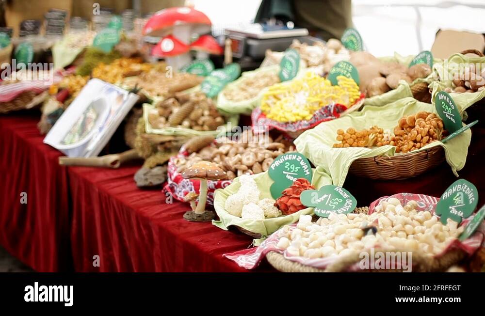 Morel mushroom edible Stock Videos & Footage HD and 4K Video Clips Alamy