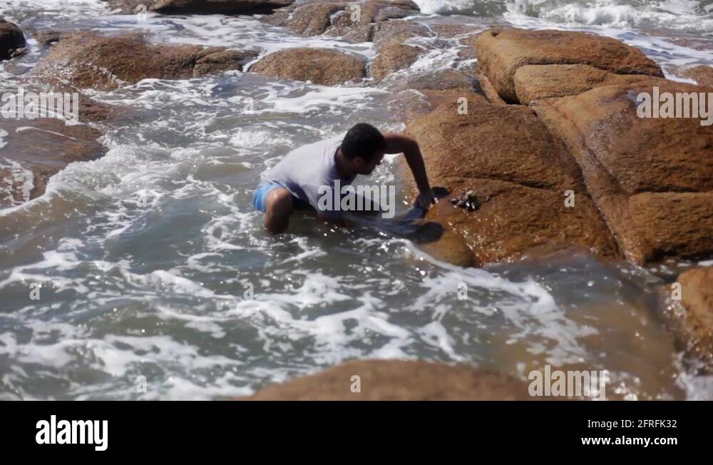 Mussels harvesting Stock Videos & Footage HD and 4K Video Clips Alamy