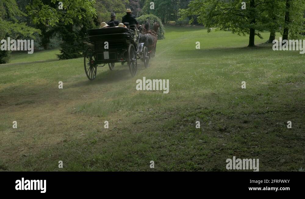 Four in hand horse Stock Videos & Footage HD and 4K Video Clips Alamy