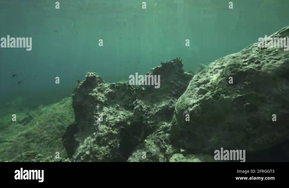 Rocky sea bottom Stock Videos & Footage - HD and 4K Video Clips - Alamy