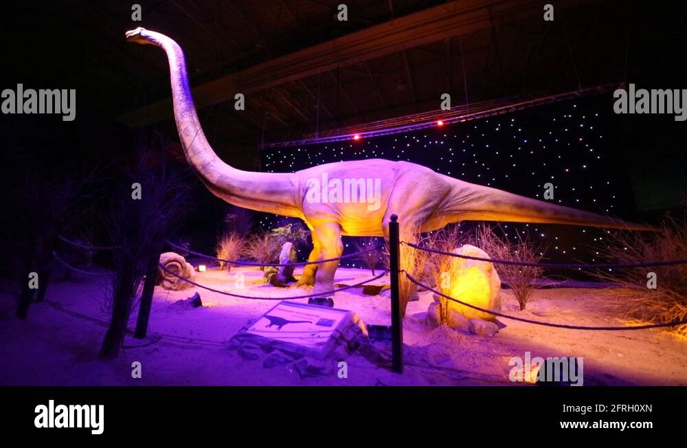 Diplodocus dinosaurs Stock Videos & Footage - HD and 4K Video Clips - Alamy