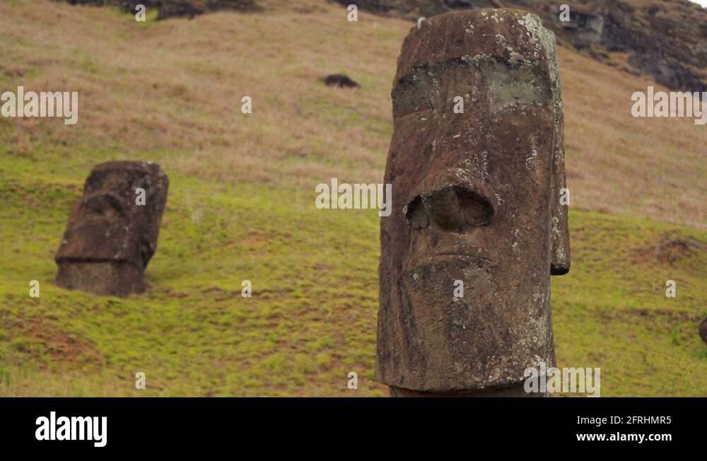 Moai statues on the hillside half buried, Easter Island Stock Video